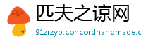 匹夫之谅网